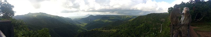 Black River Gorges National Park