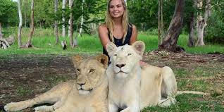 walking with lion 2