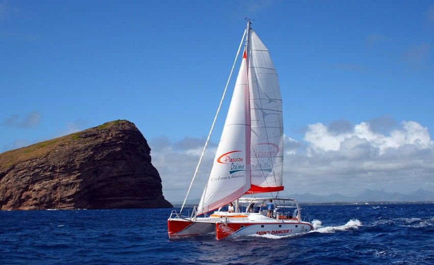 Wind Dancer Catamaran (Shared) 